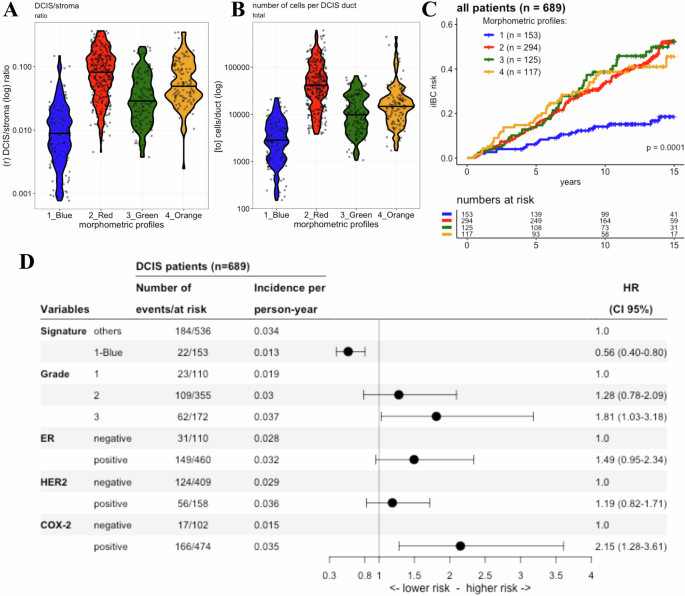 Fig. 6: Characteristics of the 4 morphometric signatures.