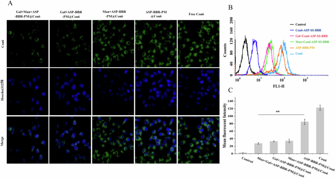 Fig. 3: Cellular uptake in HepG2 cells.