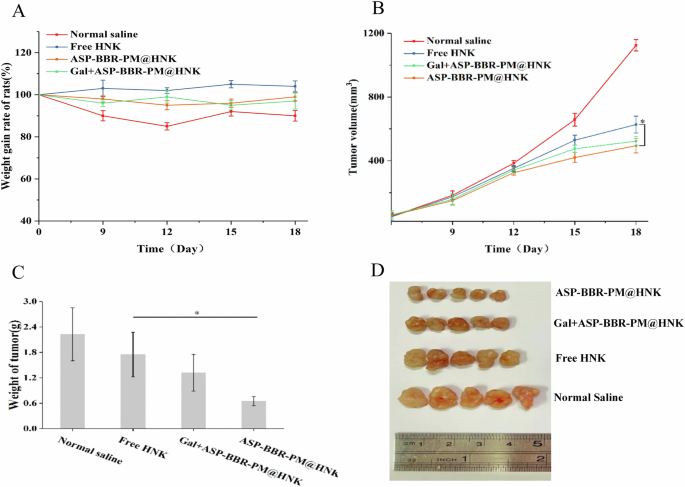 Fig. 7: In vivo efficacy evaluation of ASP-BBR-PM@HNK.