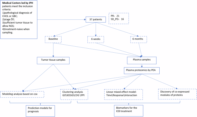 Fig. 1: A flow for the analysis process.