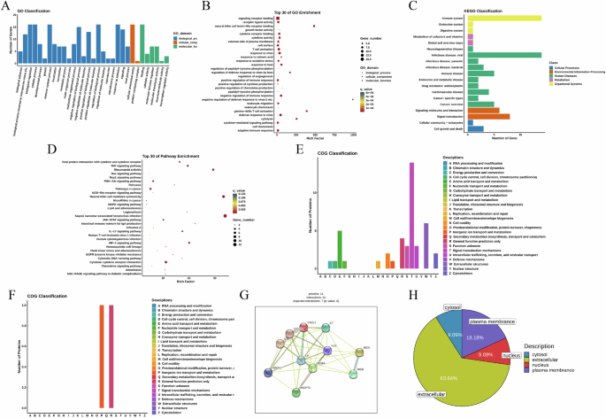 Fig. 2: Analysis of treatment-associated function alterations over time in BTC patients treated with camrelizumab plus gemcitabine and oxaliplatin.