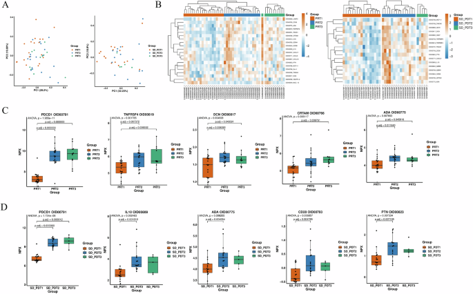 Fig. 4: Differentially expressed proteins significant for time-effect in the linear mixed effect model.