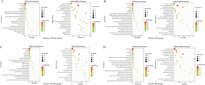 Fig. 6: Enrichment analysis of mutant gene from different samples in PR and SD_PD group.