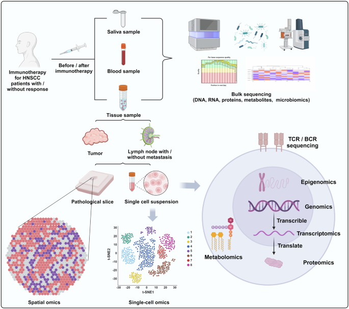 Fig. 1: Overview of omics application process in immunotherapy research of HNSCC.