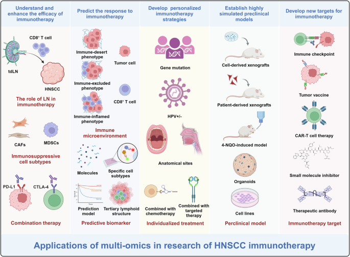 Fig. 2: Applications of multi-omics in research of HNSCC immunotherapy.