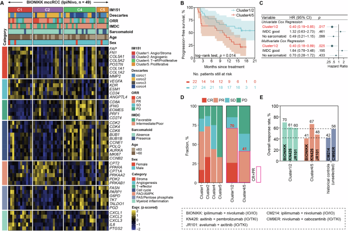 Fig. 1: Enhanced efficacy of IO/IO combinations in angiogenic subtypes in the BIONIKK trial.