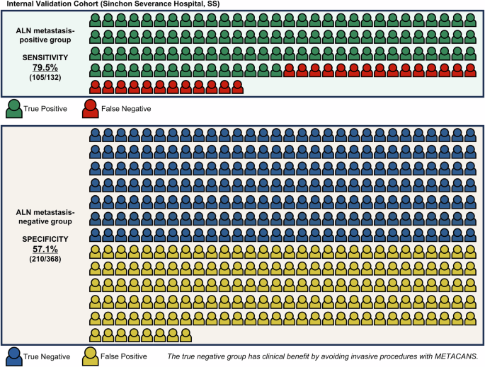 Fig. 2: Visual representation of the classification results for the internal validation cohort.