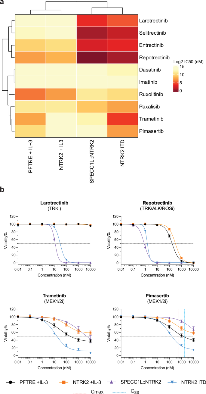 Fig. 3: NTRK2 ITD-expressing cells are sensitive to TRK and MEK inhibition.