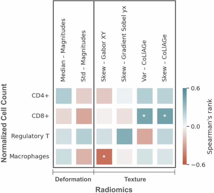 Fig. 3: Cell map of Spearman’s rank correlation coefficients for normalized cell count (Y-axis) vs. top-ranked StODeO magnitude and radiomic texture descriptors (X-axis) where red = negative correlation, blue = positive correlation.