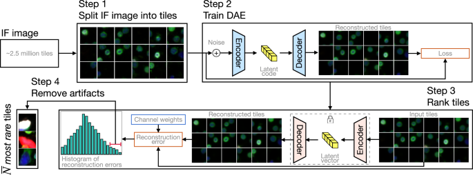 Fig. 2: Schematic diagram of the rare event detection (RED) pipeline.