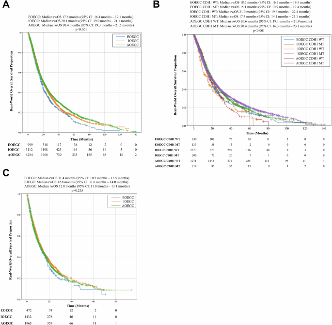Fig. 5: Real world overall survival (rwOS) for patients with EOEGC, IOEGC, and AOEGC stratified by treatment.