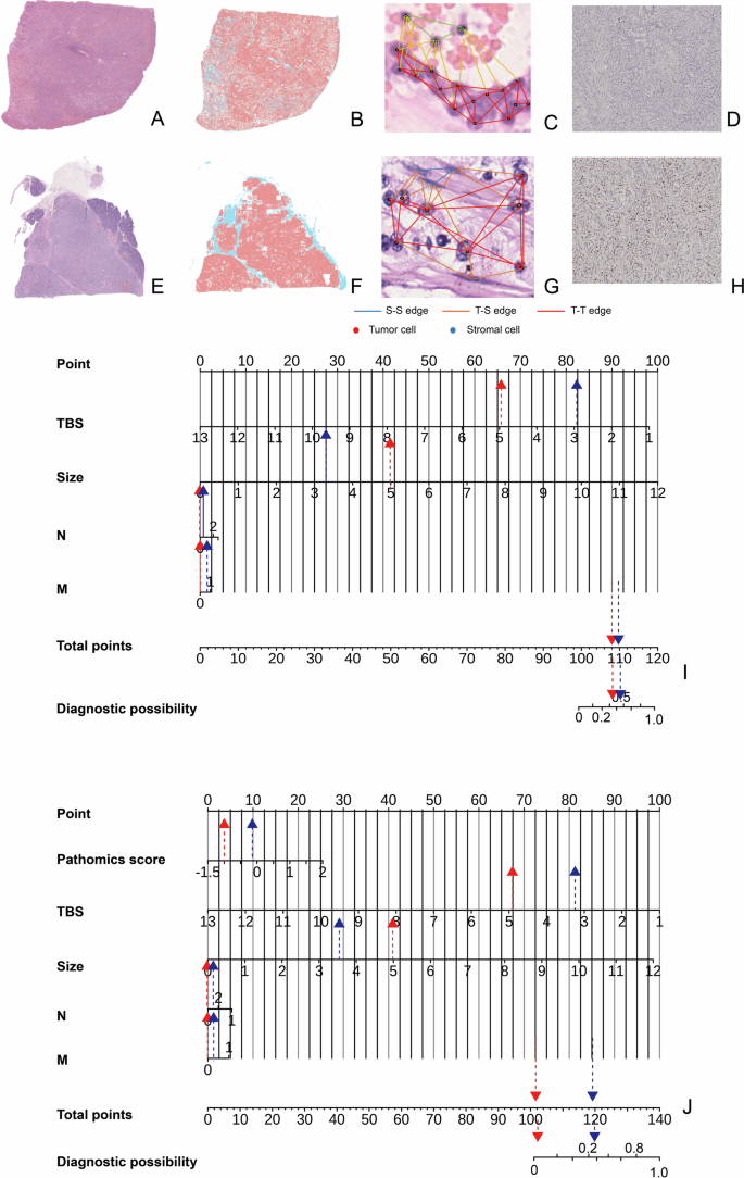 Fig. 5: The two cases diagnosed by the two prediction models.