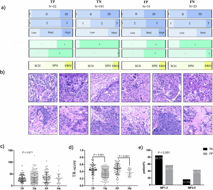 Fig. 5: Analysis of IPM classification results.