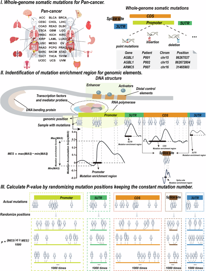 Fig. 1: A schematic of geMER.