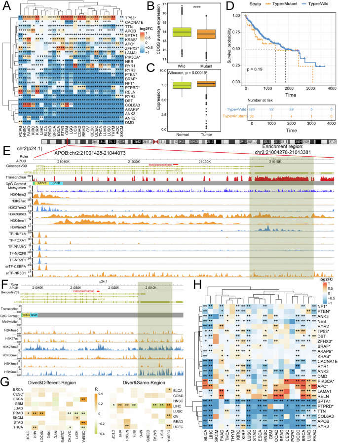Fig. 5: Multi-omics analysis of CDGS across 25 cancer types.