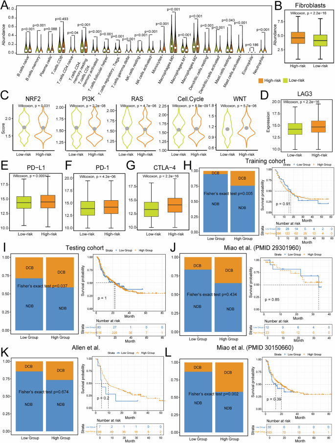 Fig. 8: Immune profiles of high- and low-risk in 25 cancer types from the TCGA.