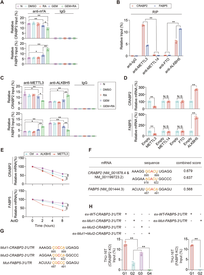 Fig. 5: Differential expression of writers and erasers in ATC cells.