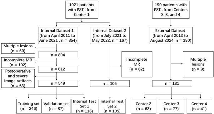 Fig. 4: Patient selection flowchart.
