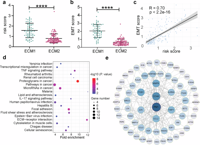 Fig. 6: Association between ECM signature and EMT in IDH-mutant gliomas.