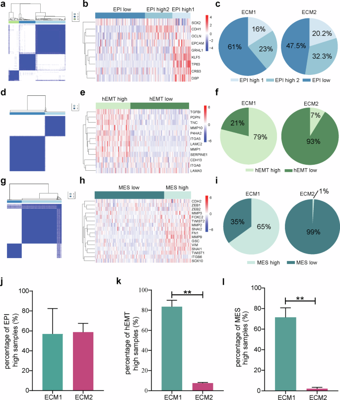 Fig. 7: Distribution of ECM1 and ECM2 subtypes across different EMT stages.