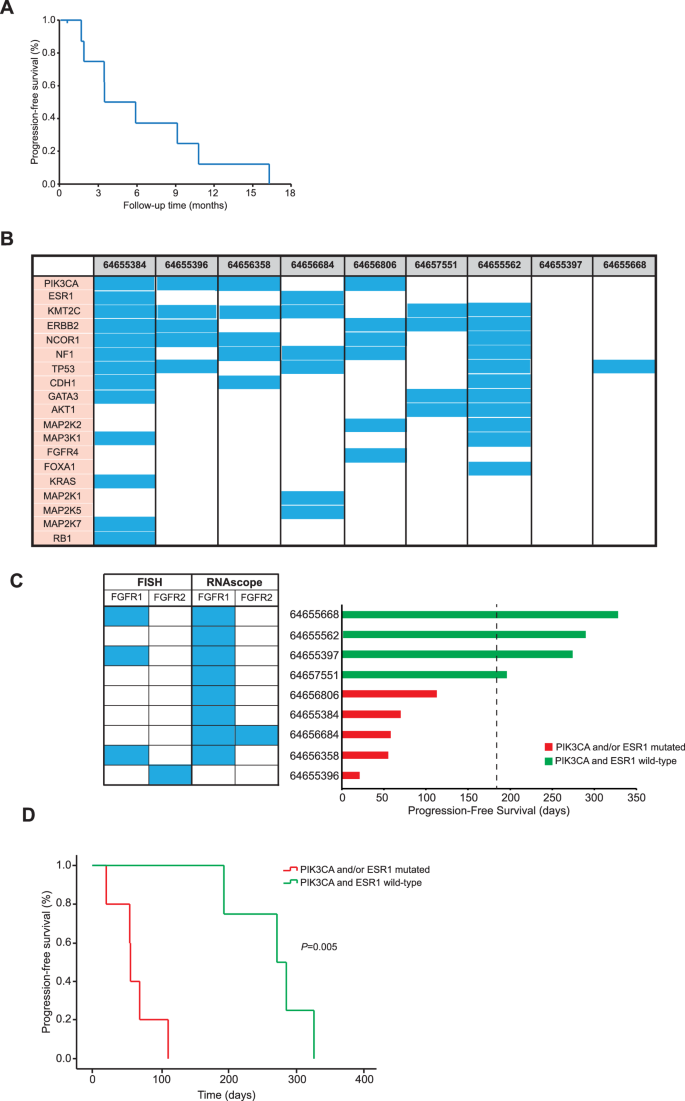 Fig. 4: Clinical outcomes and impact of PIK3CA and ESR1 mutations.