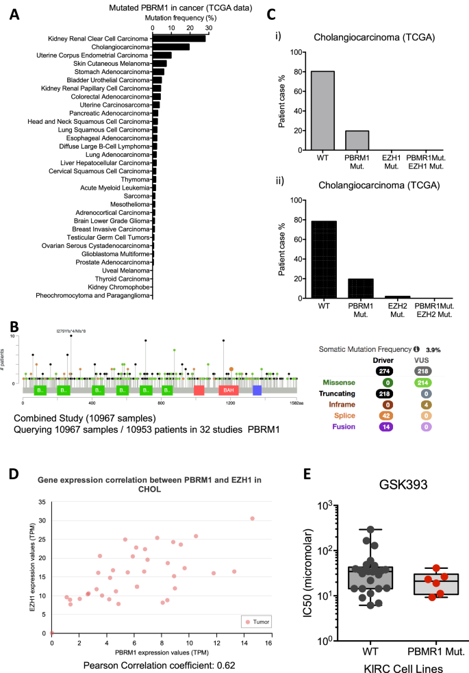Fig. 2: Analysis of PBRM1 and EZH2 interactions in Silico.