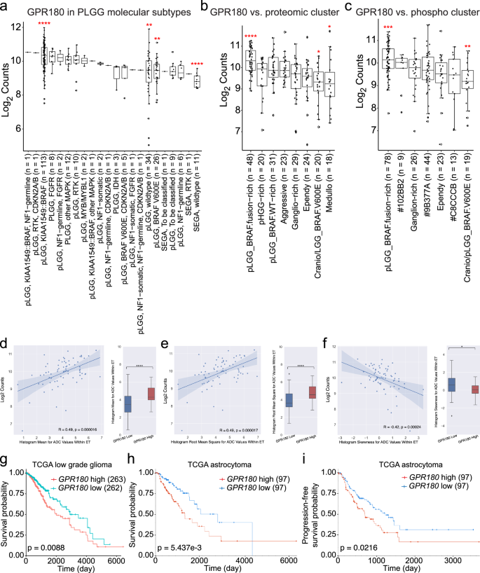 Fig. 7: GPR180 is enriched in BRAF-fusion induced pLGGs, and low GPR180 expression is correlated with better survival in patients with gliomas.