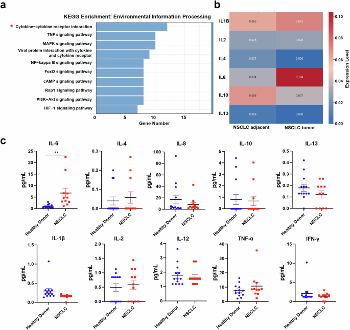 Fig. 2: IL-6 level in NSCLC patients is elevated.