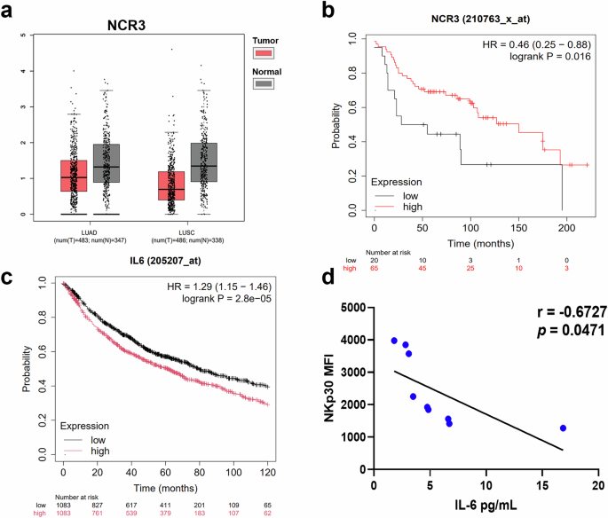 Fig. 3: IL-6 levels in NSCLC patients are negatively correlated with NKp30 expression.