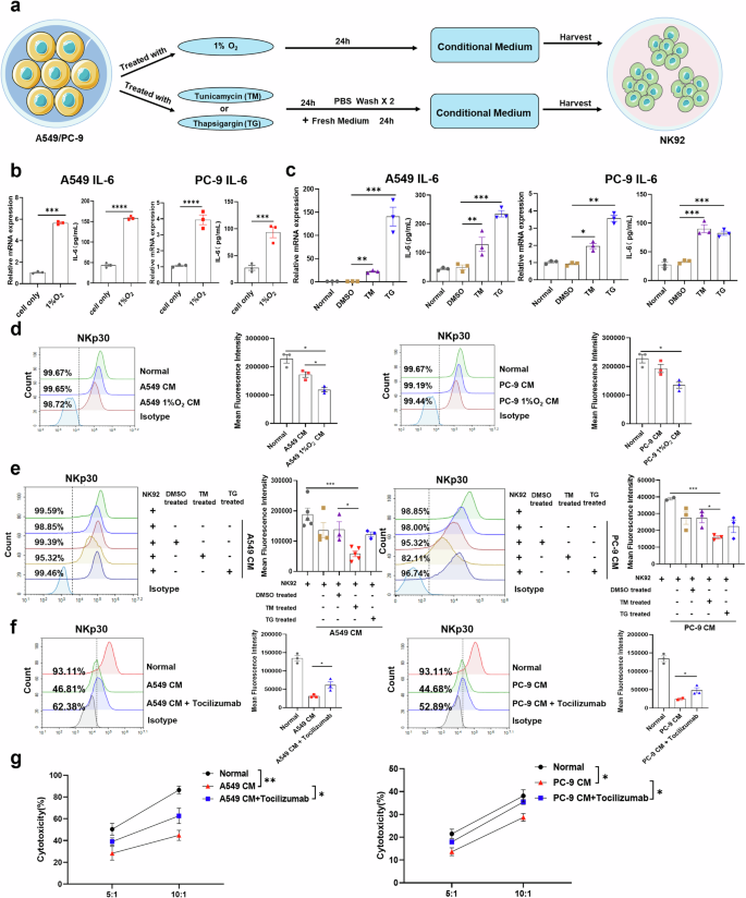 Fig. 4: IL-6-derived from tumor cells educates NK cell phenotype with low NKp30 expression.