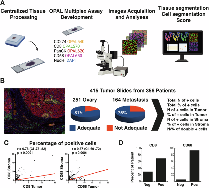 Fig. 2: Multiplex staining evaluating tumor and stroma immune infiltration in samples from the MITO16A case material.