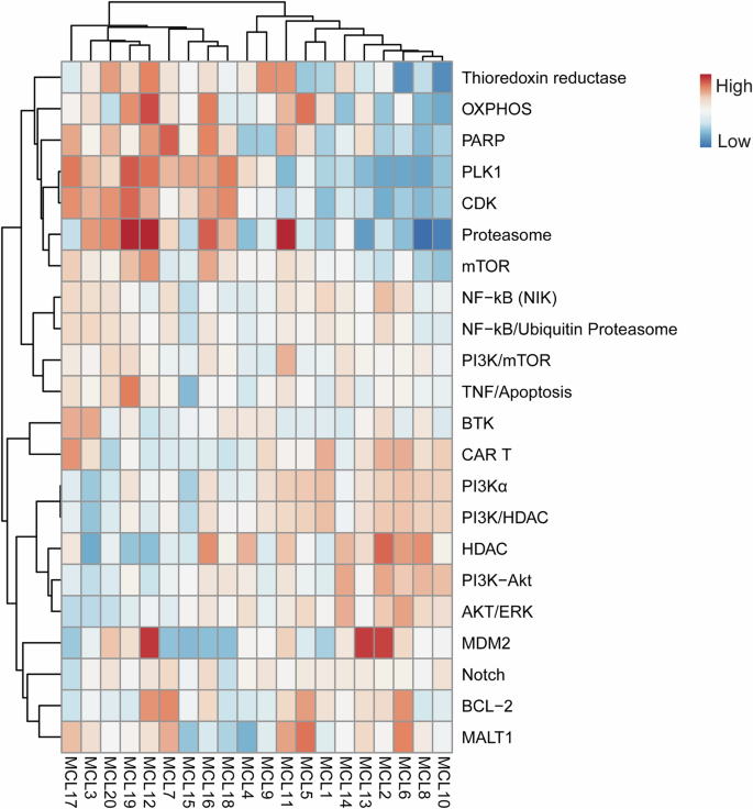 Fig. 1: Gene set variation analysis (GSVA) provides signaling enrichment scores (ES) for MCL patients.
