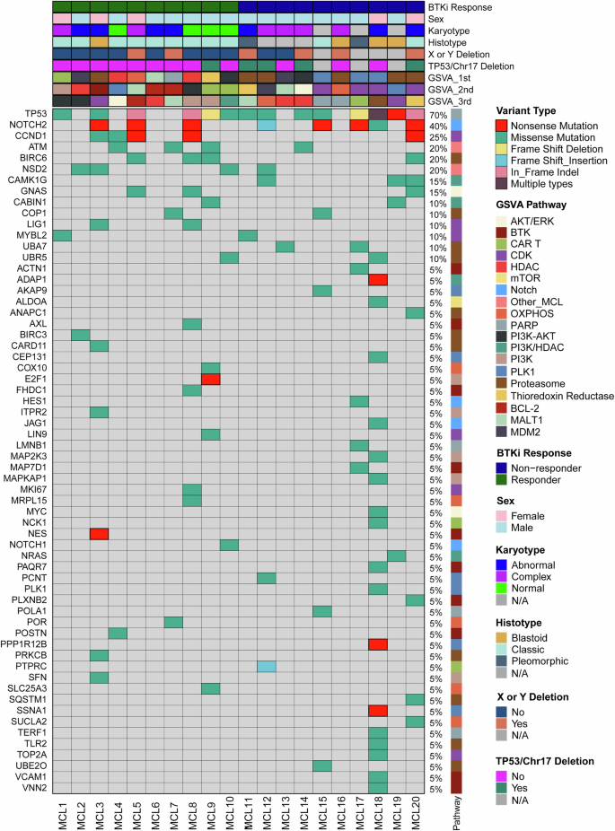 Fig. 3: The landscape of somatic mutations related to dysregulated biological pathways in MCL patient samples.