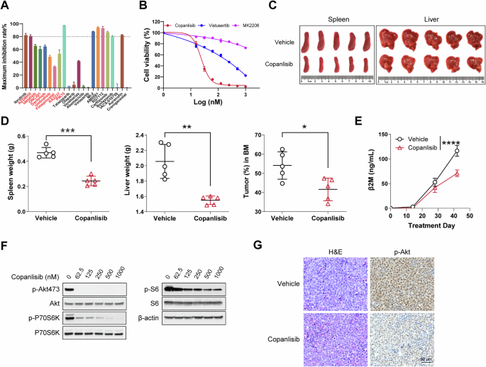 Fig. 7: Pan-PI3K inhibitor copanlisib emerged as an effective treatment option for MCL Patient 20.