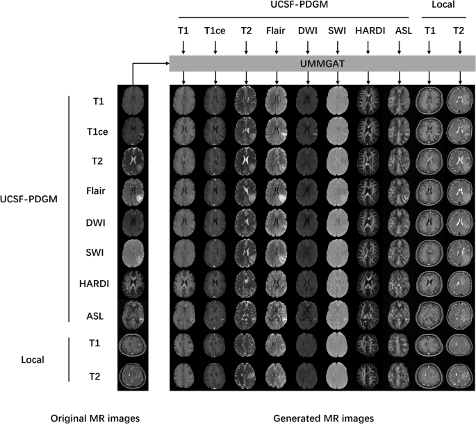Fig. 3: Multicenter multi-sequence image generation results.