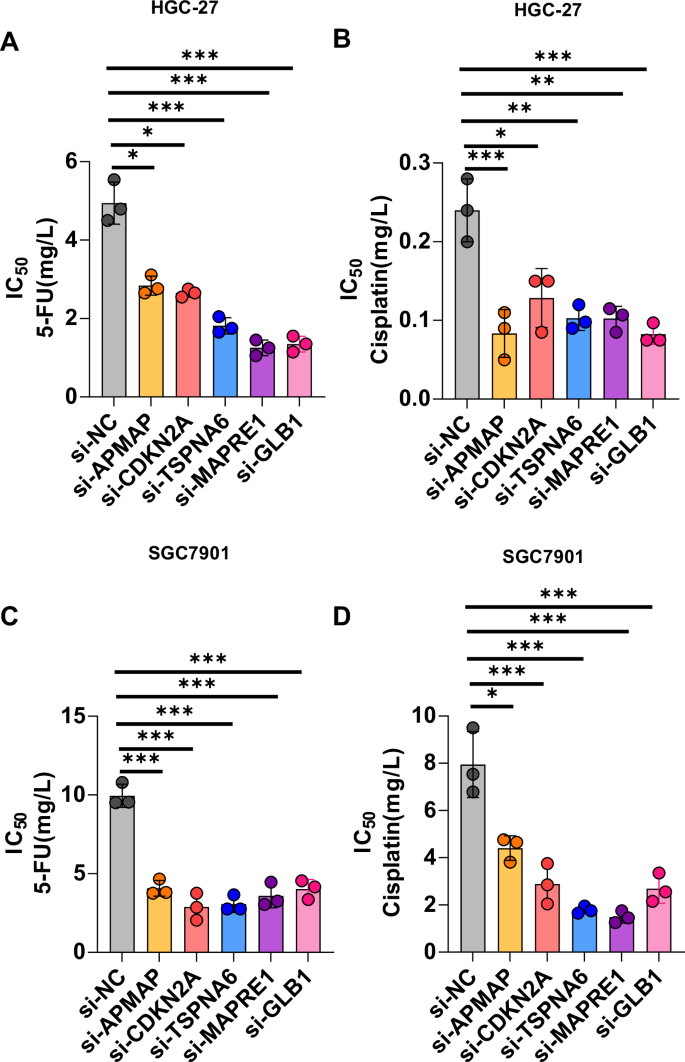 Fig. 10: Core gene knockdown enhances drug sensitivity in gastric cancer cell lines.