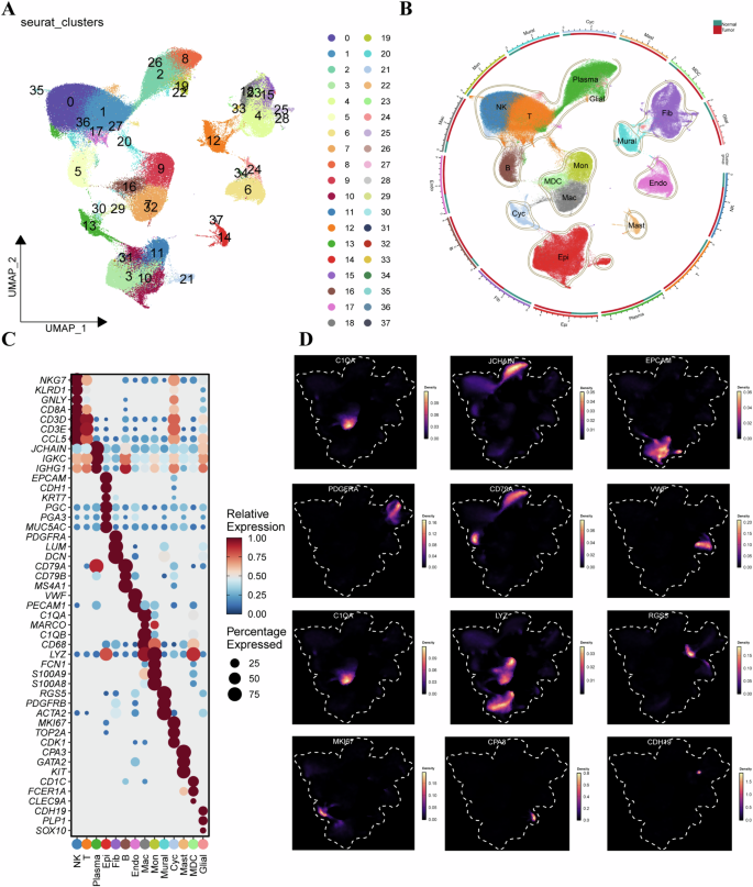 Fig. 1: Identification and annotation of cell populations in GC tissue.