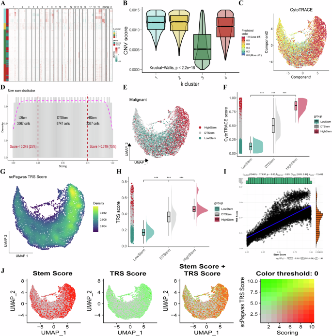 Fig. 2: Identification and characterization of high-stemness malignant GC cells.