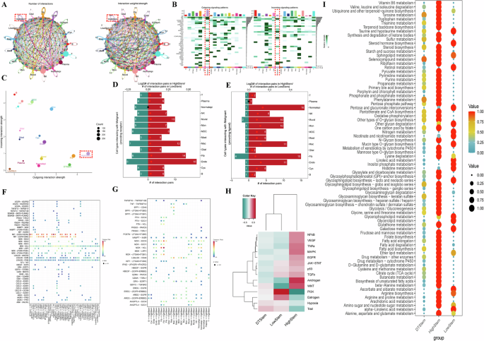 Fig. 3: Cell-cell acrosstalk profiling of HighStem cells.