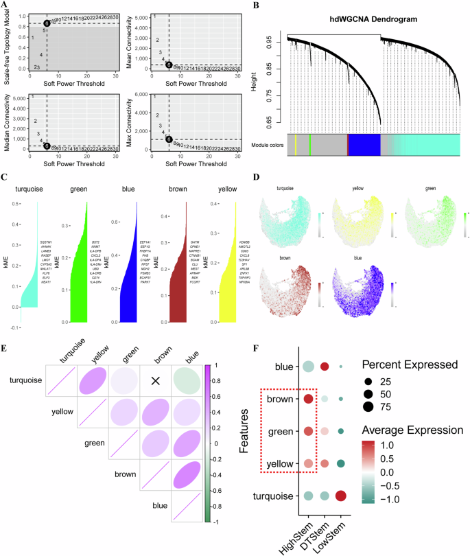 Fig. 4: Identification of HighStem-associated gene co-expression modules using hdWGCNA.