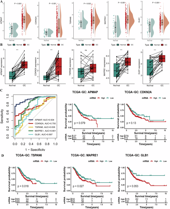 Fig. 7: Validation of HighStem hub genes in TCGA datasets.