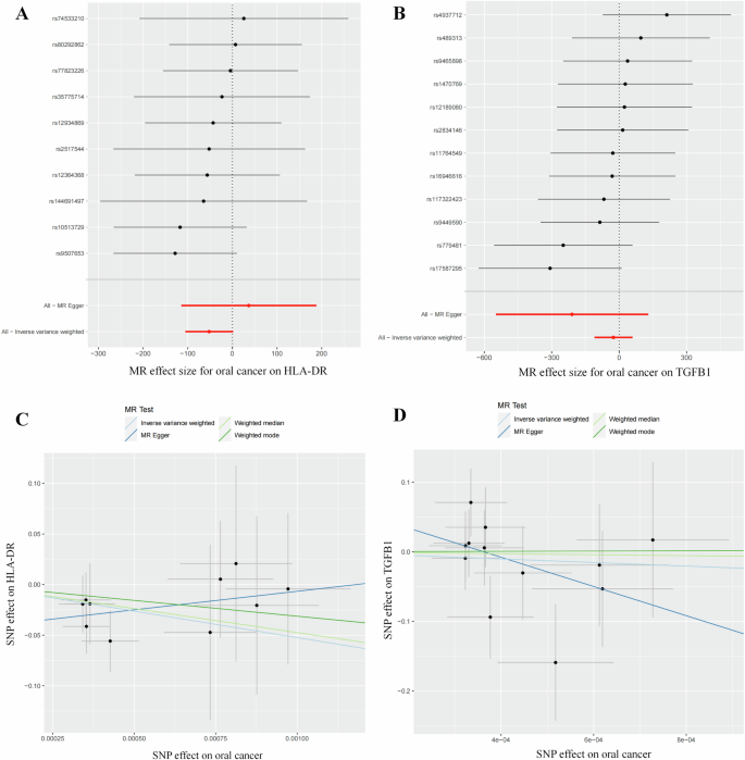 Fig. 8: Mendelian randomization (MR) was employed to examine the correlation between HLA-DR and TGF-β1 with oral cancer.