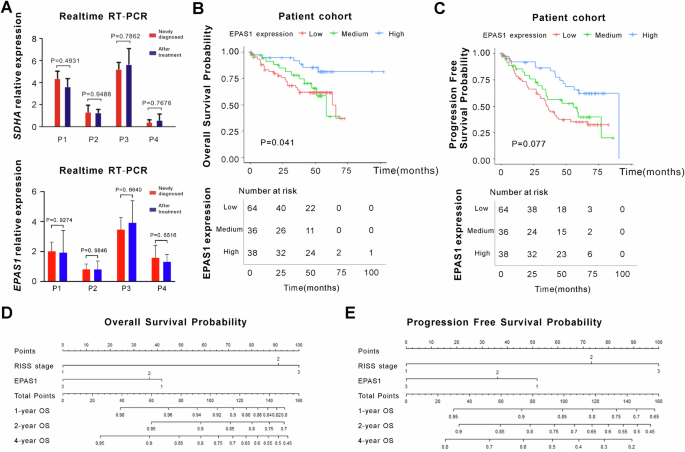 Fig. 2: EPAS1 was screened as a favorable prognostic factor for MM.
