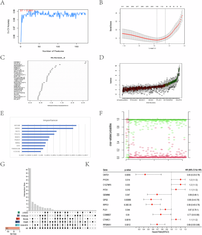 Fig. 3: Construction of a prognostic signature using MRGs via machine learning.