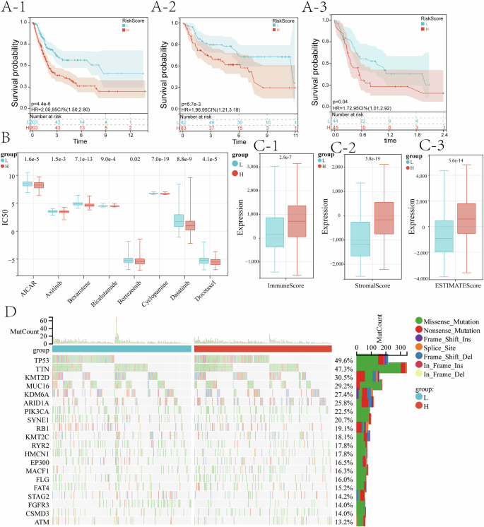 Fig. 4: Prognostic model based on 10 MRGs accurately predicts clinical outcomes in BLCA.