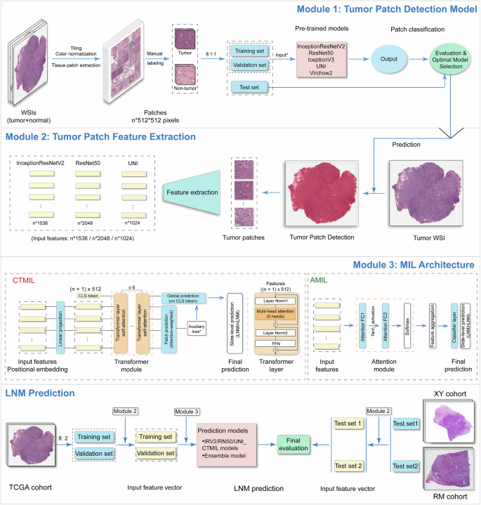 Fig. 1: Workflow of our study.