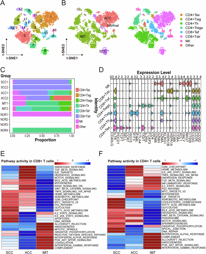 Fig. 6: T and NK cells clusters.