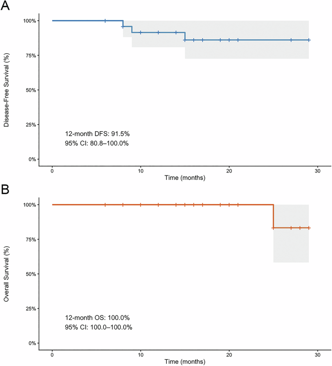 Fig. 2: Kaplan-Meier curves for survival of all patients.
