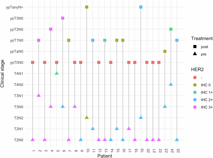 Fig. 4: Dual dynamics of clinical stage and HER2 expression before and after neoadjuvant therapy.