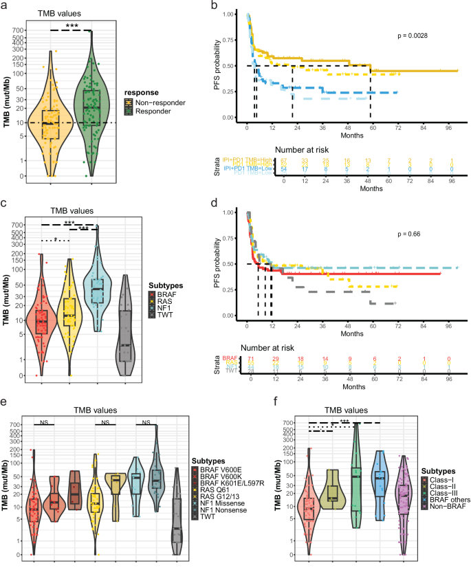 Fig. 2: TMB values and mutational subtypes against PFS and response to treatment.